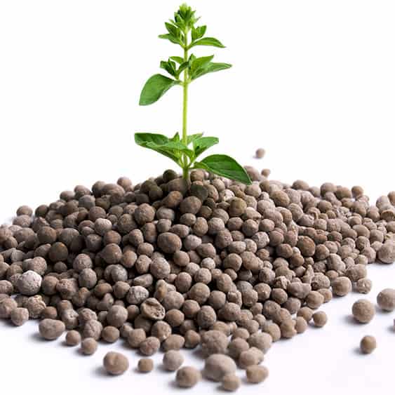 Fertilizer pellets with a plant sprouting