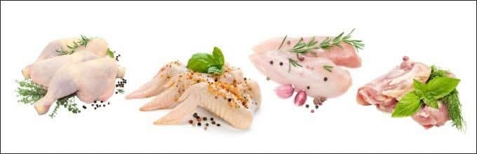 raw chicken on white background